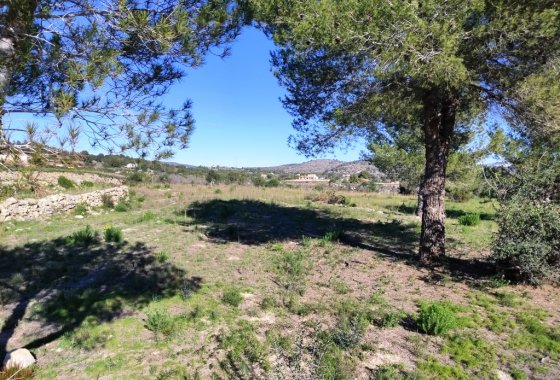 بازفروش - زمین - Benissa