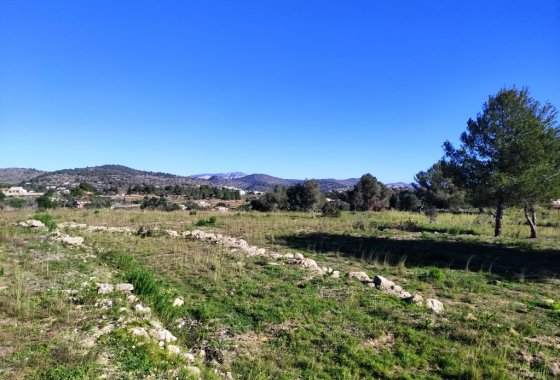 بازفروش - زمین - Benissa