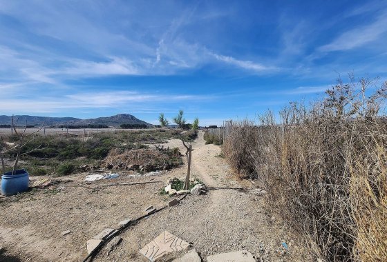 Resale - Country House - Villena