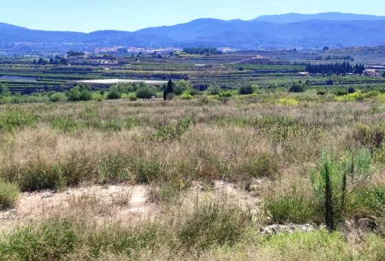 بازفروش - خانه روستایی - Albaida