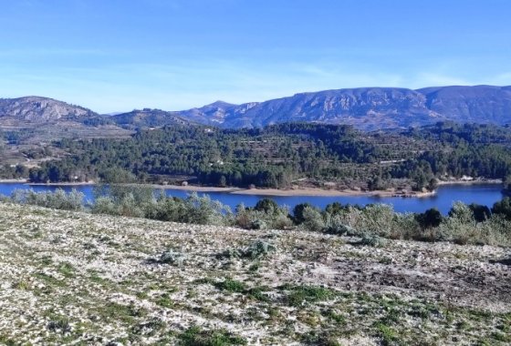 بازفروش - زمین - Planes