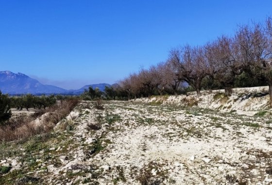 بازفروش - زمین - Planes