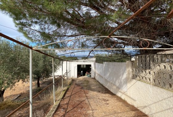 Resale - Finca/Rustic Property - Sax
