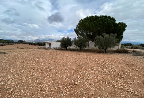 Resale - Finca/Rustic Property - Sax