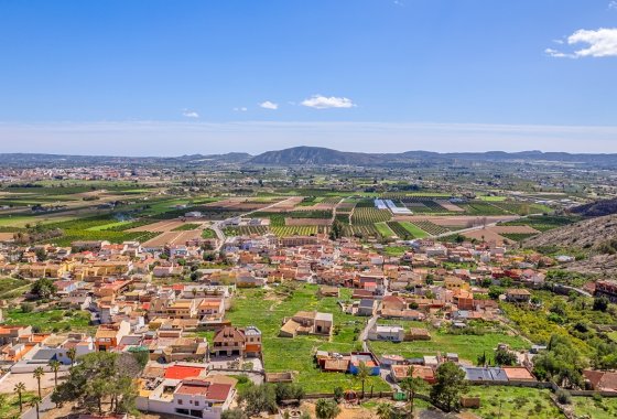 Reventa - Country House - Orihuela