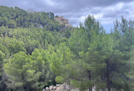 Resale - Land - Altea - Sierra de Altea