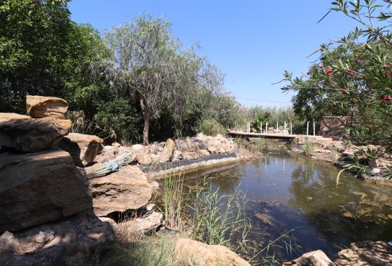 Resale - Country House - Catral - Catral - Country