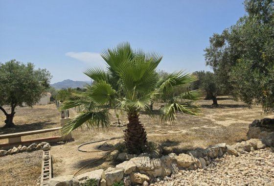 Resale - Country House - Sax