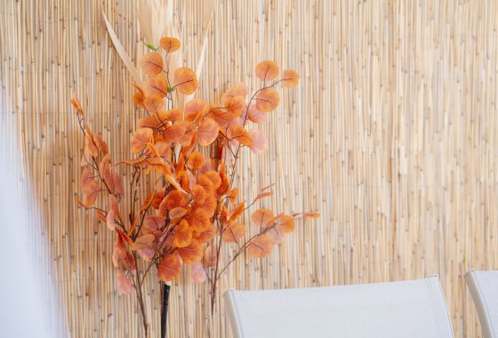 Resale - Apartment - Orihuela Costa - Punta Prima