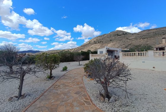 Wiederverkauf - Villa - Fortuna