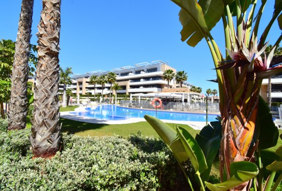 Resale - Apartment - Orihuela Costa - Playa Flamenca