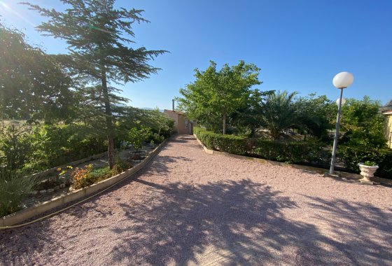 Reventa - Villa - Sax