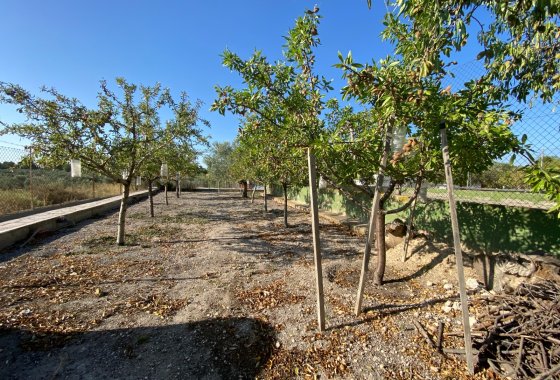 Reventa - Villa - Sax