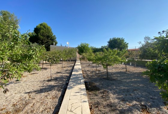 Reventa - Villa - Sax