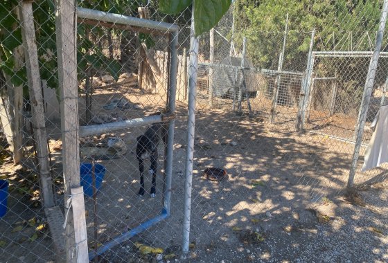 Wiederverkauf - Country House - Salinas