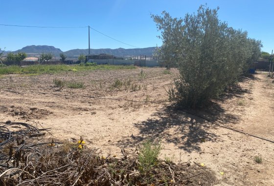 Wiederverkauf - Country House - Salinas