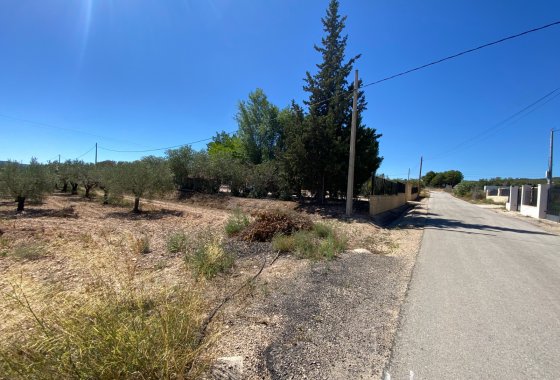 Wiederverkauf - Country House - Salinas