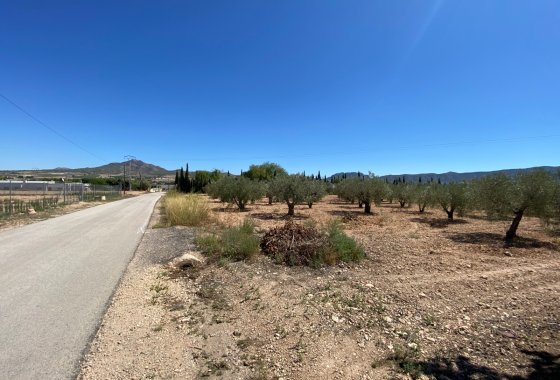 Wiederverkauf - Country House - Salinas