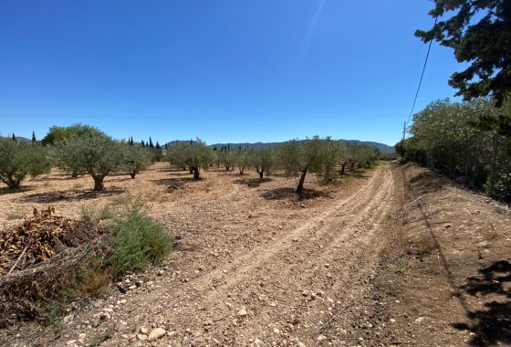 Wiederverkauf - Country House - Salinas