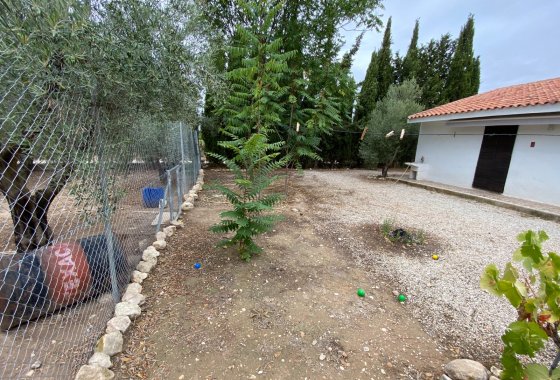 بازفروش - ویلا - Sax