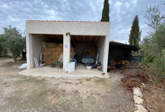 بازفروش - ویلا - Sax