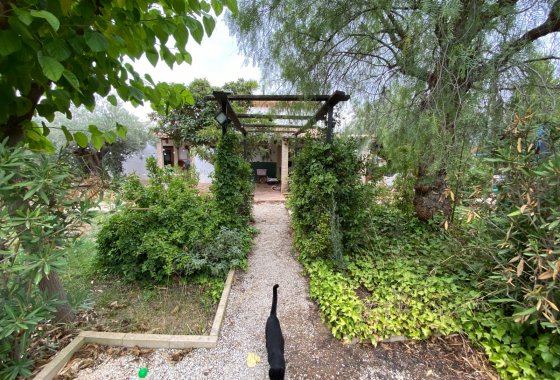 بازفروش - ویلا - Sax