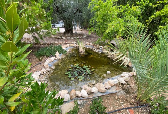 بازفروش - ویلا - Sax