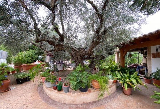 بازفروش - ویلا - Sax