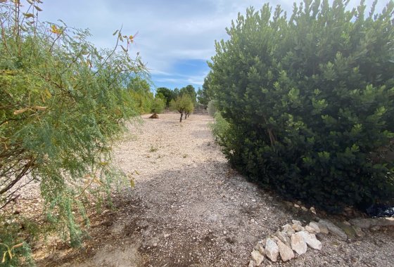 Reventa - Villa - Sax