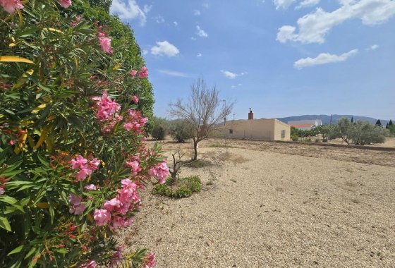 Wiederverkauf - Villa - Salinas