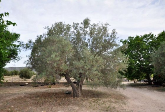 Reventa - Villa - Salinas