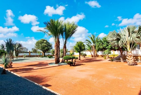 Resale - Country House - Catral - Catral - Country