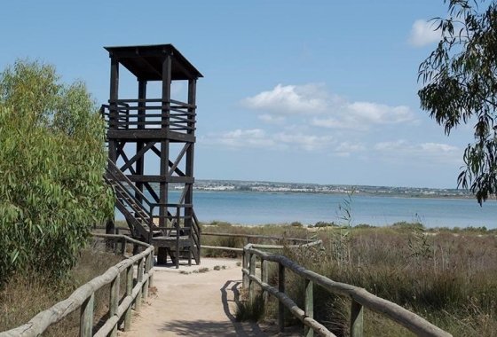 Resale - Apartment - La Mata - La Mata - Town