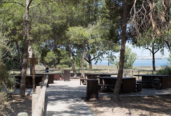 Resale - Apartment - La Mata - La Mata - Town