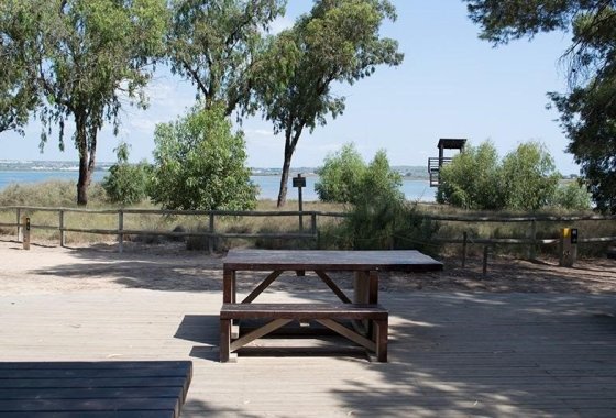 Resale - Apartment - La Mata - La Mata - Town