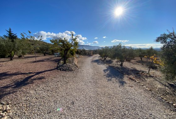 Resale - Villa - Sax