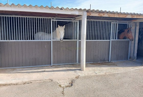 Wiederverkauf - Country House - Monóvar - Monovar