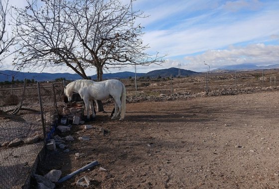 Wiederverkauf - Country House - Monóvar - Monovar