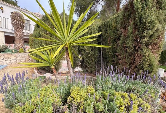 Resale - Villa - Sax