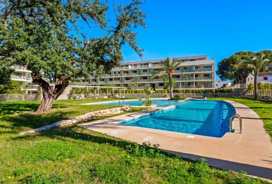 Resale - Apartment - Denia - Puerto