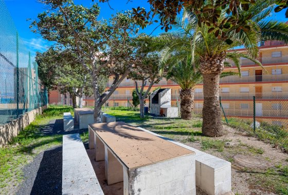 Resale - Apartment - Arenales del Sol - Segunda linea playa