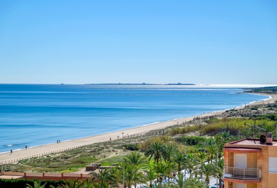 Resale - Apartment - Arenales del Sol - Segunda linea playa