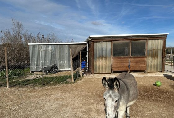 Resale - Villa - Villena