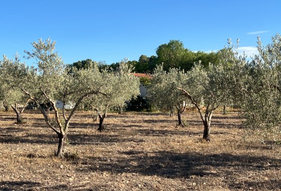 Wiederverkauf - Finca/Rustic Property - Sax