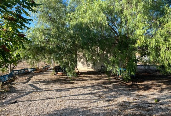 Wiederverkauf - Finca/Rustic Property - Sax