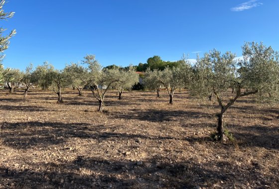 Wiederverkauf - Finca/Rustic Property - Sax