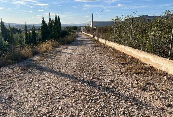 Wiederverkauf - Finca/Rustic Property - Sax