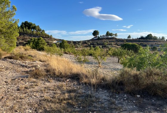 Wiederverkauf - Finca/Rustic Property - Sax