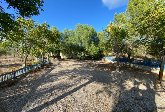 Wiederverkauf - Finca/Rustic Property - Sax