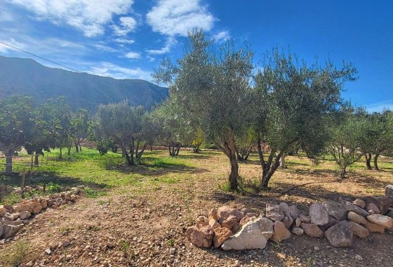 Reventa - Villa - La Romana